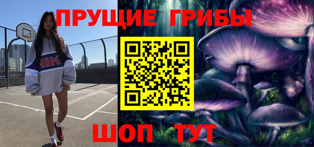 Галлюциногенные грибы ЛСД  где купить наркоту  Новоалександровск  Вход с VPN 