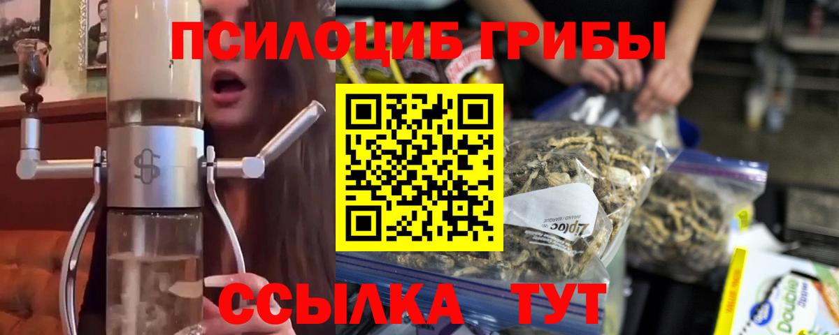 Галлюциногенные грибы мухоморы Новоалександровск